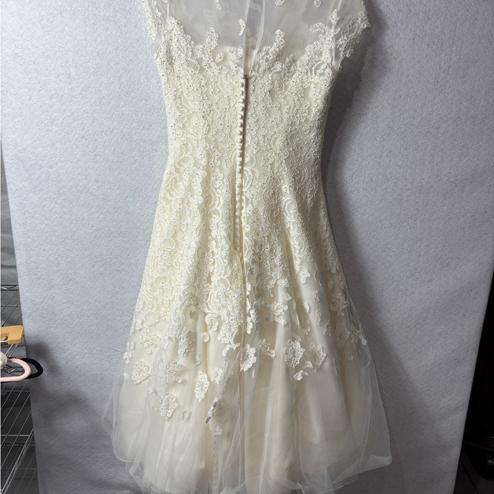Ivory Lace A-Line Dress with Sheer Cap Sleeves - Picture 4 of 6